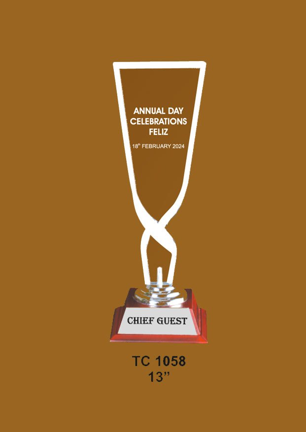 Acrylic Trophy in Delhi