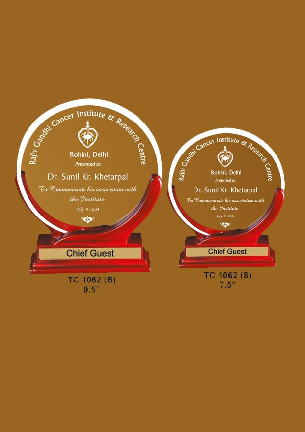 Acrylic Trophy in Delhi