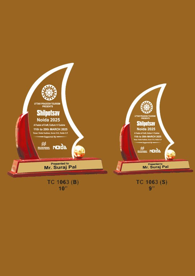 Acrylic Trophy in Delhi