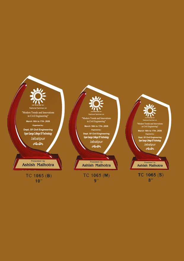 Acrylic Trophy in Delhi