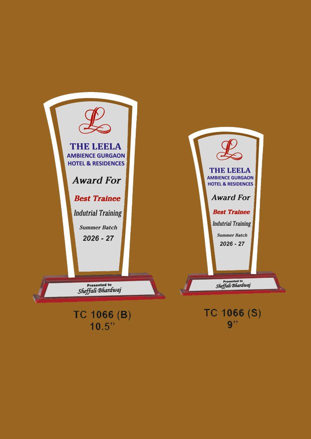 Acrylic Trophy in Delhi
