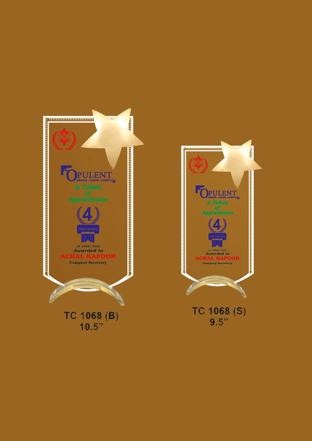 Acrylic Trophy in Delhi