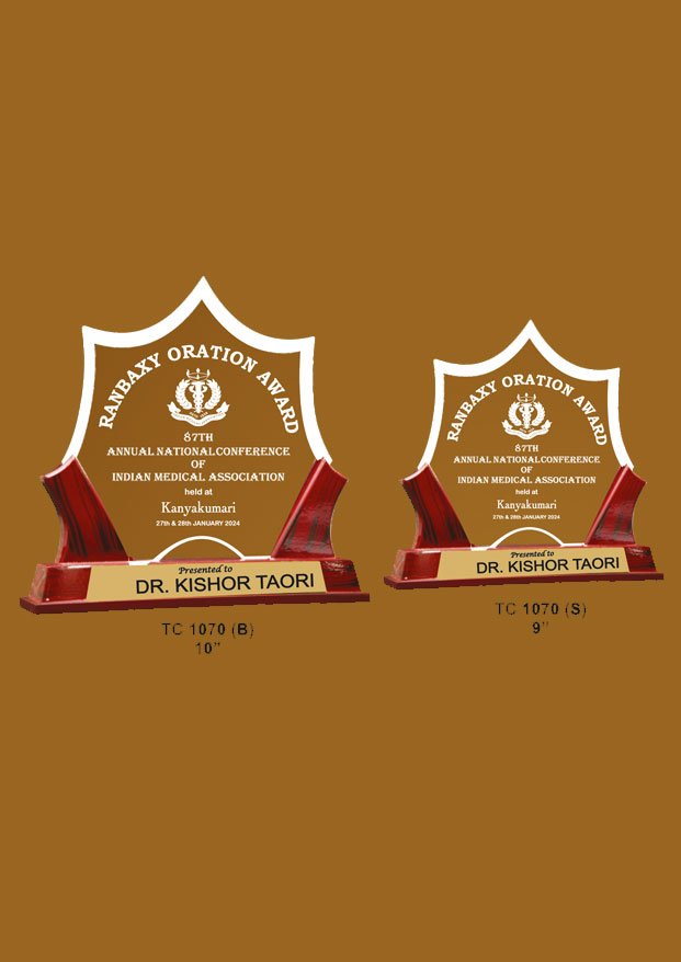 Acrylic Trophy in Delhi