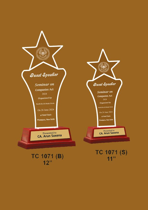 Acrylic Trophy in Delhi