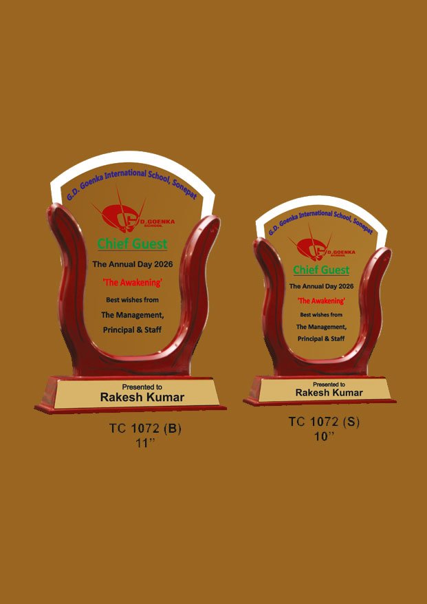 Acrylic Trophy in Delhi