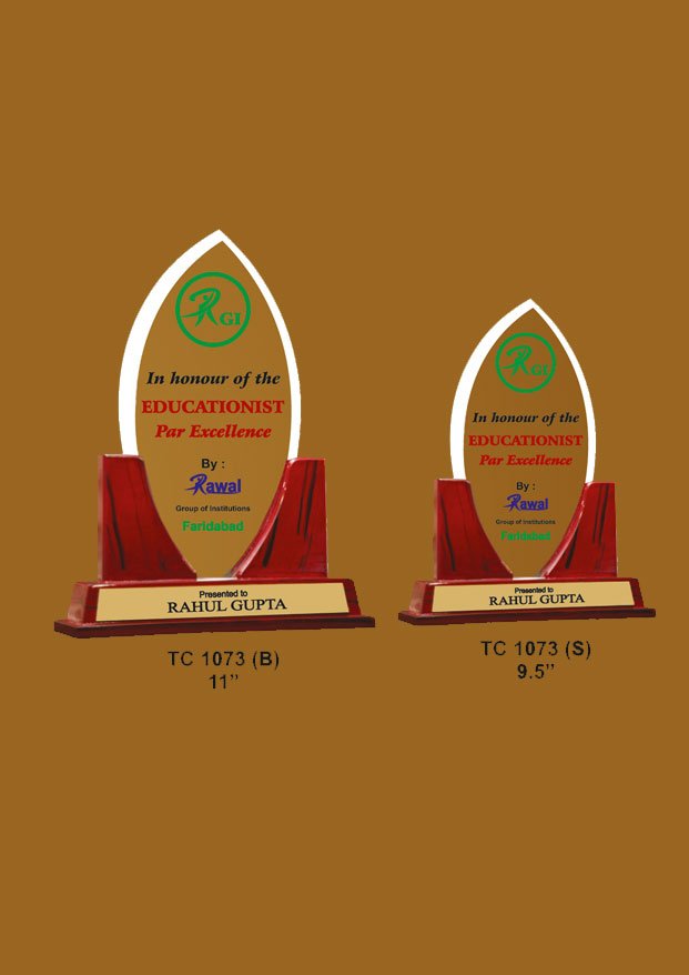 Acrylic Trophy in Delhi
