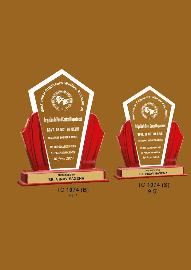 Acrylic Trophy in Delhi