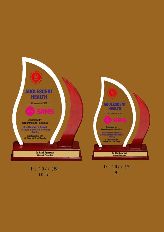 Acrylic Trophy in Delhi