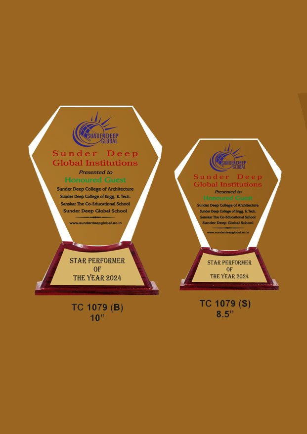 Acrylic Trophy in Delhi