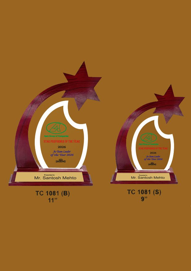Acrylic Trophy in Delhi