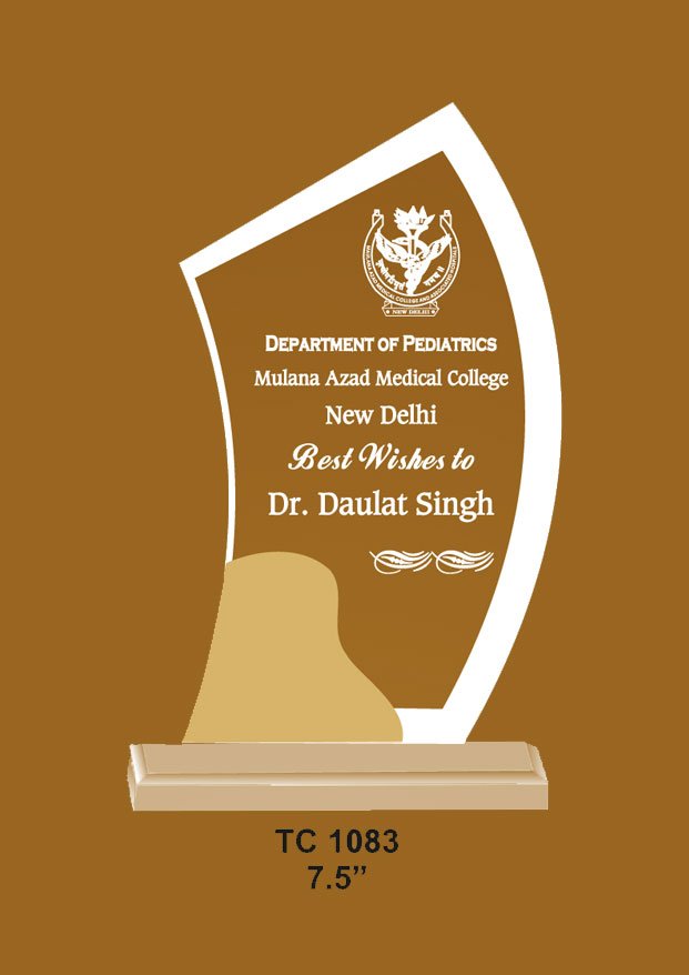 Acrylic Trophy in Delhi