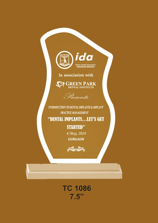 Acrylic Trophy in Delhi