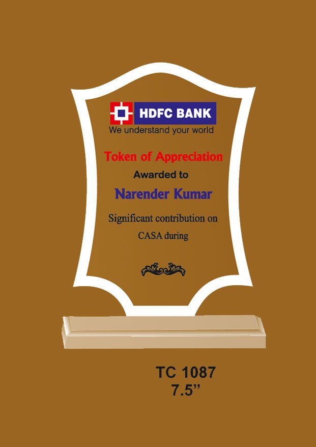 Acrylic Trophy in Delhi