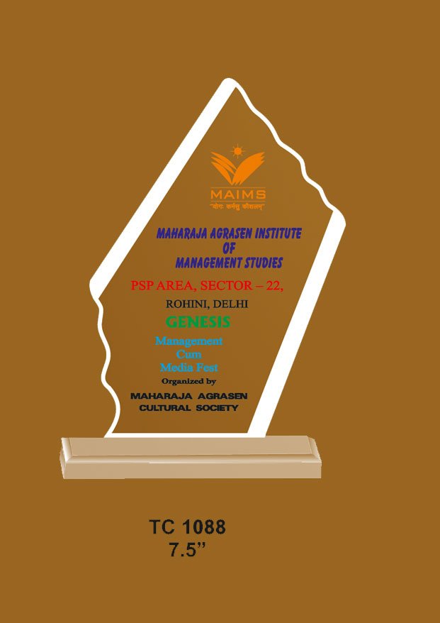 Acrylic Trophy in Delhi
