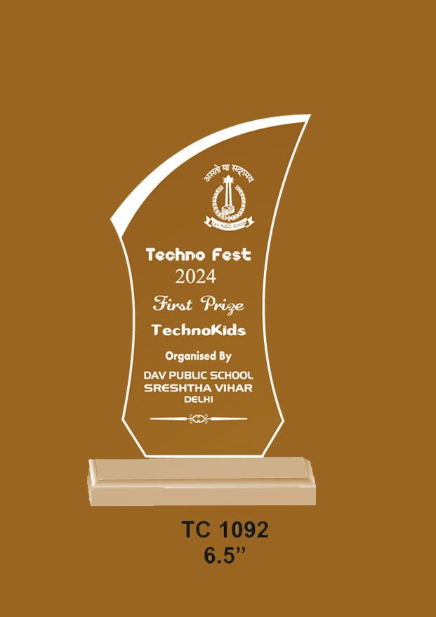 Acrylic Trophy in Delhi