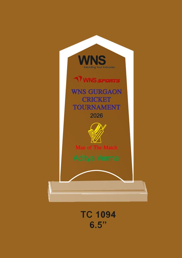 Acrylic Trophy in Delhi