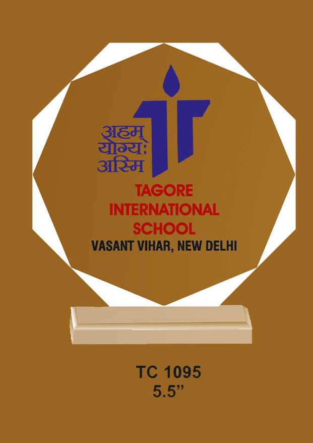 Acrylic Trophy in Delhi