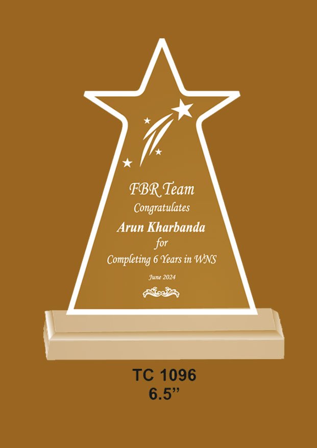 Acrylic Trophy in Delhi