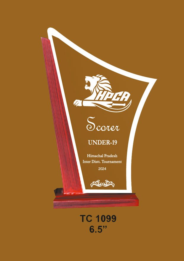 Acrylic Trophy in Delhi