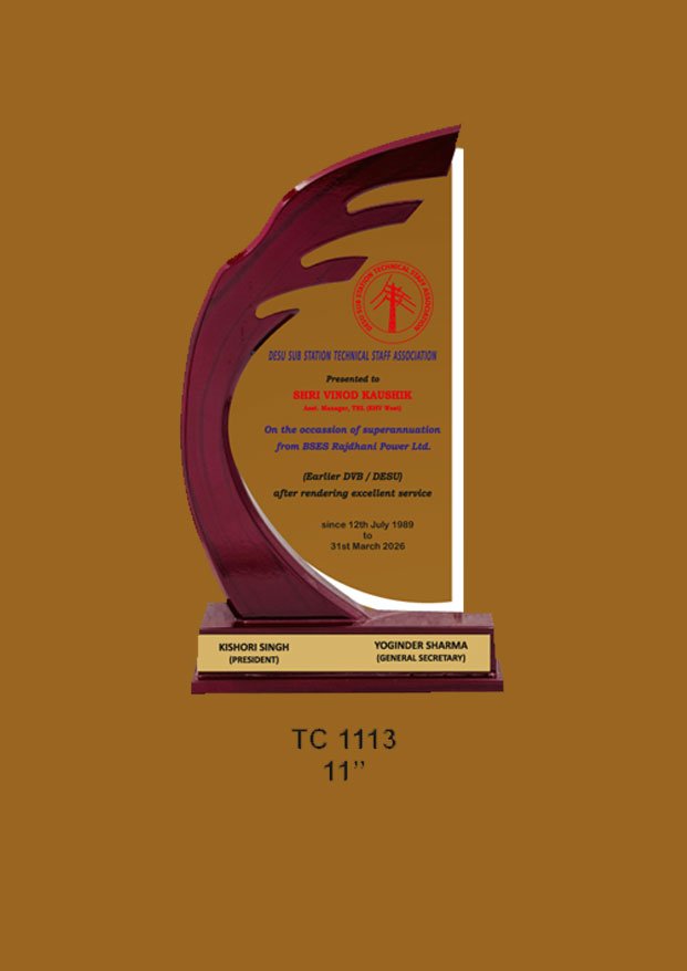 Acrylic Trophy in Delhi