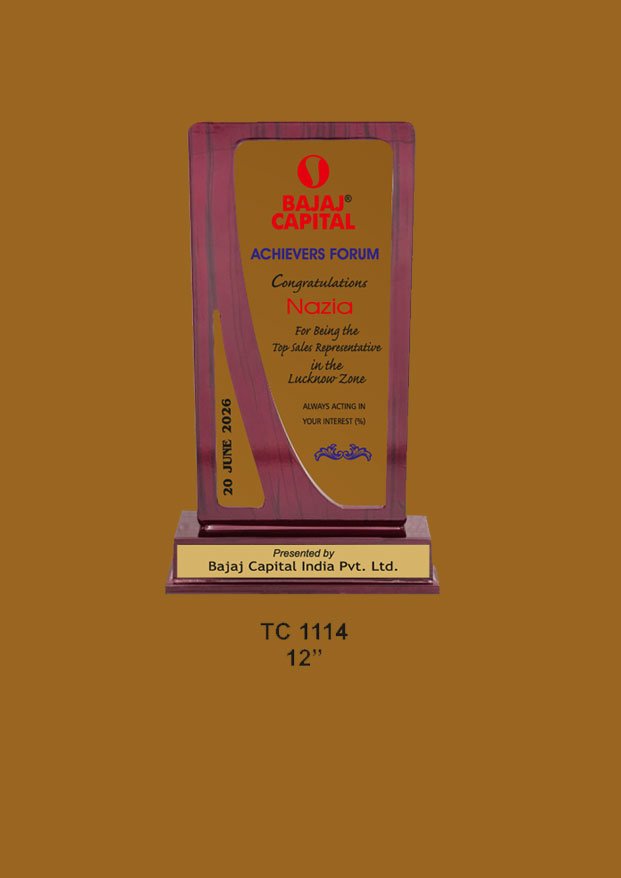 Acrylic Trophy in Delhi