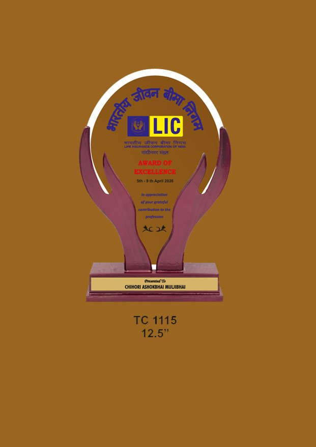 Acrylic Trophy in Delhi
