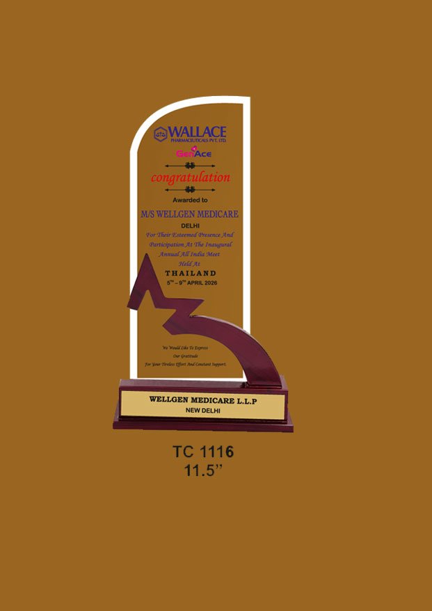 Acrylic Trophy in Delhi