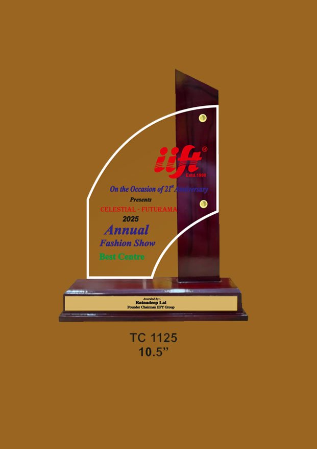 Acrylic Trophy in Delhi
