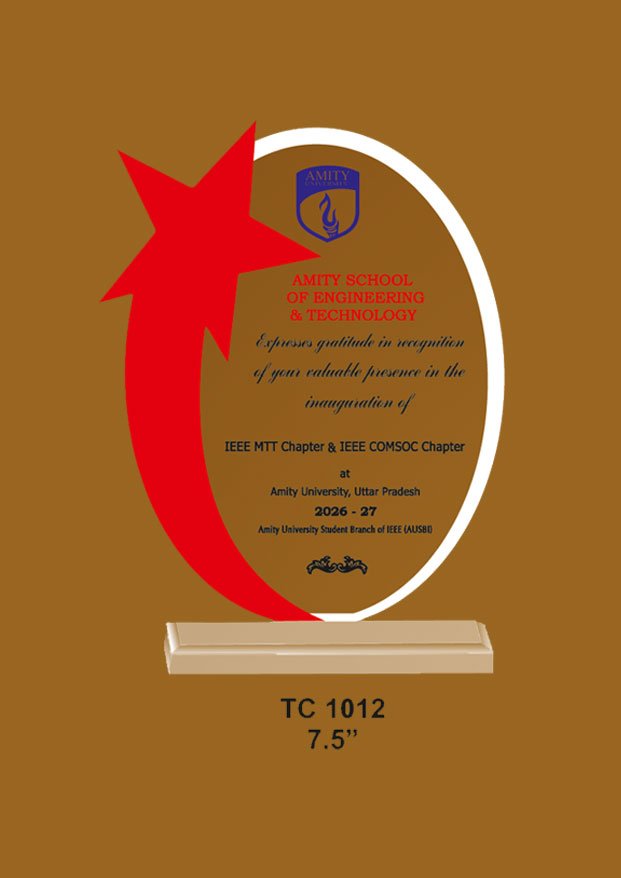 Acrylic Trophy in Delhi