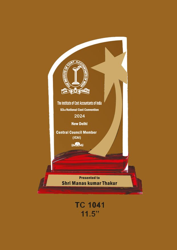 Acrylic Trophy in Delhi