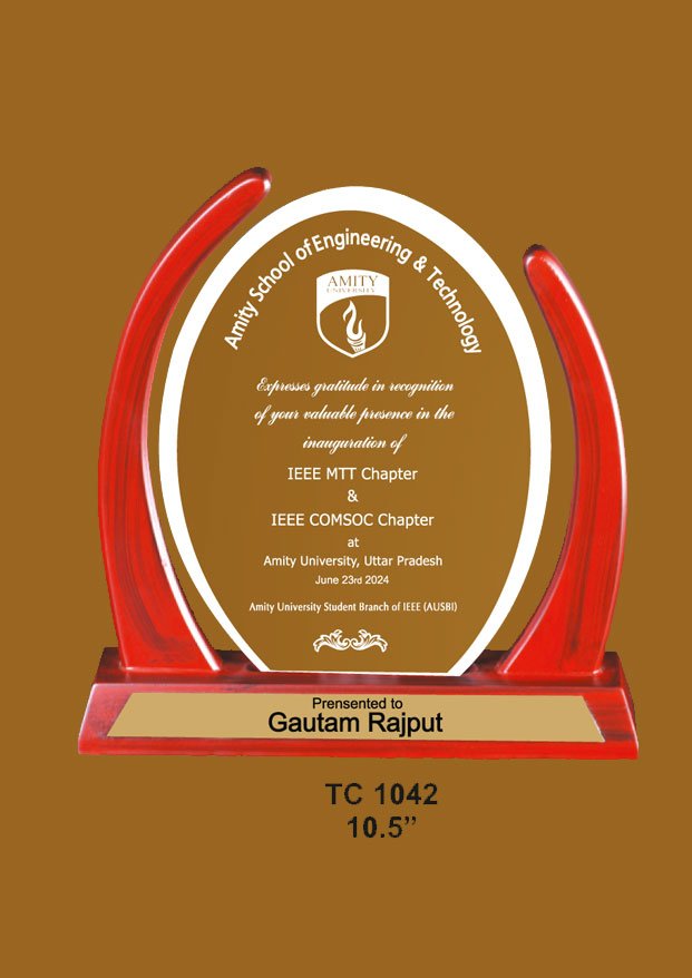 Acrylic Trophy in Delhi