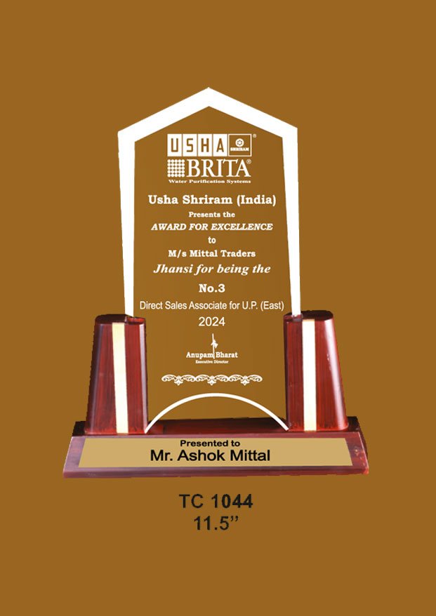 Acrylic Trophy in Delhi