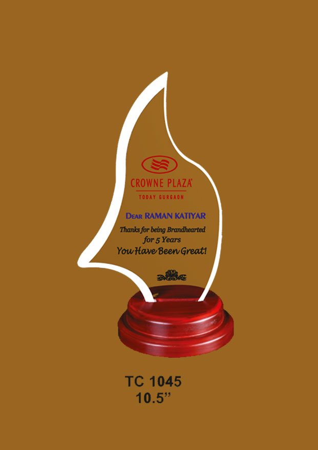 Acrylic Trophy in Delhi