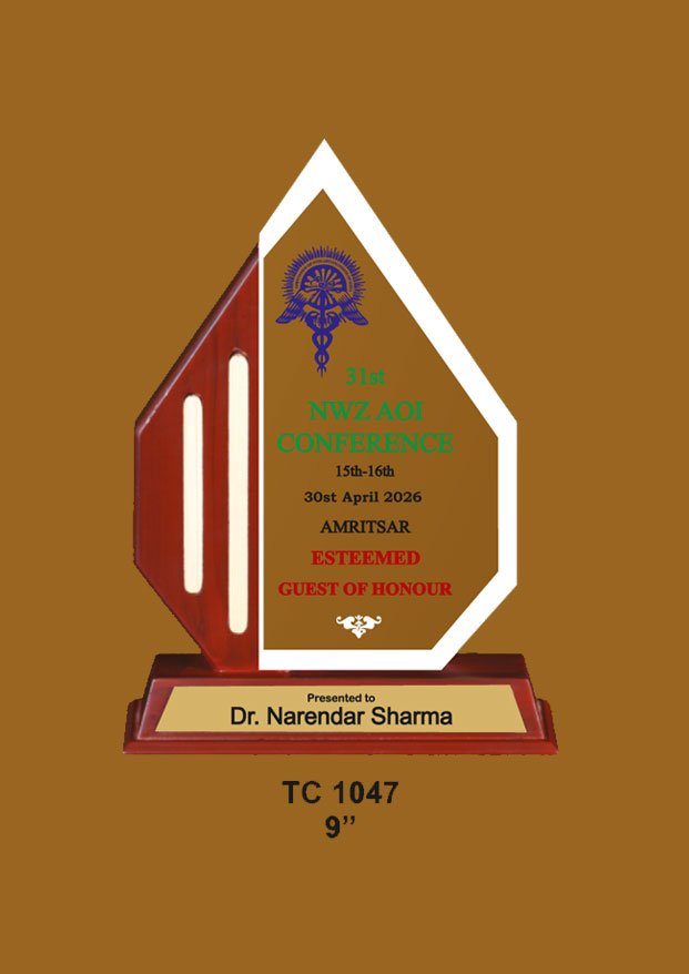 Acrylic Trophy in Delhi