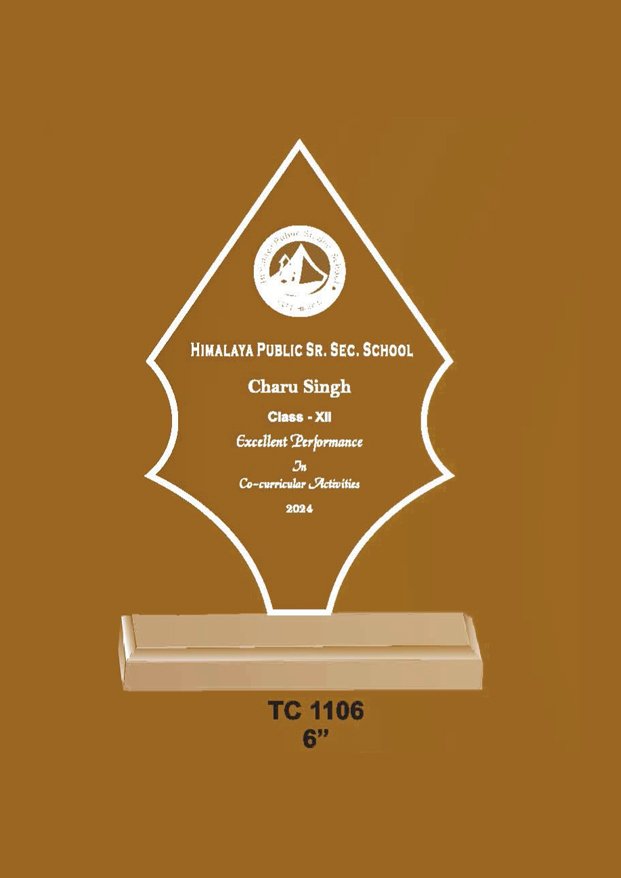 Acrylic Trophy in Delhi