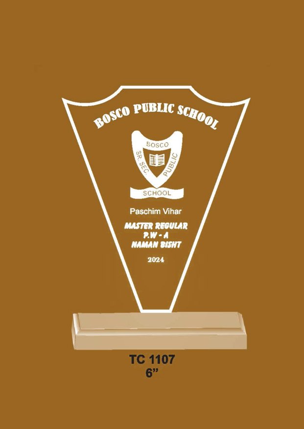 Acrylic Trophy in Delhi