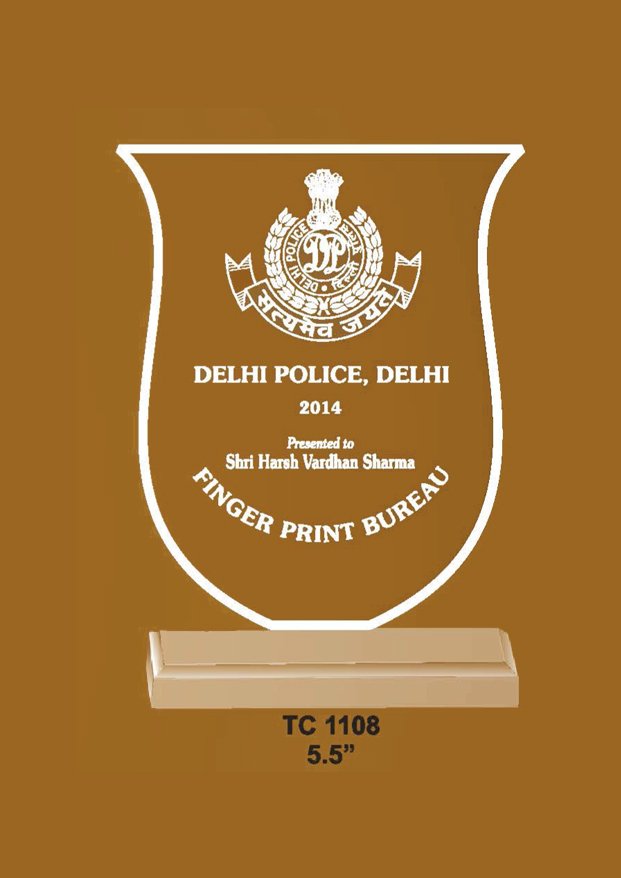 Acrylic Trophy in Delhi