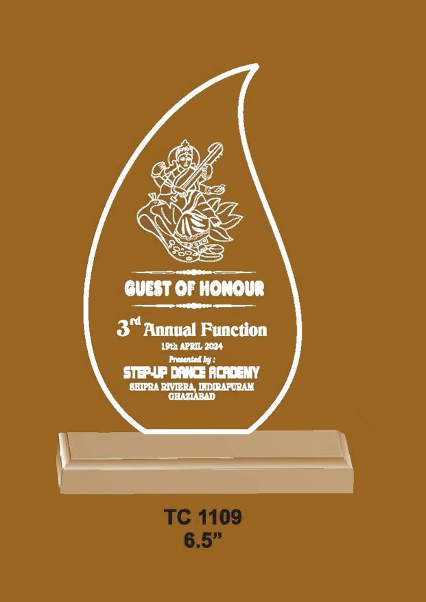 Acrylic Trophy in Delhi