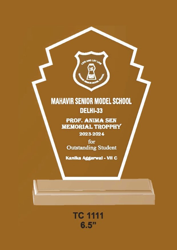 Acrylic Trophy in Delhi
