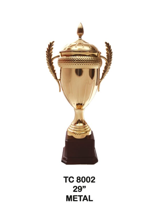 Award Manufacturer in Delhi