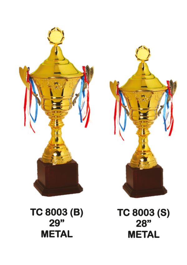 Award Manufacturer in Delhi