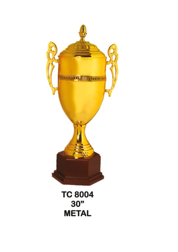 Award Manufacturer in Delhi