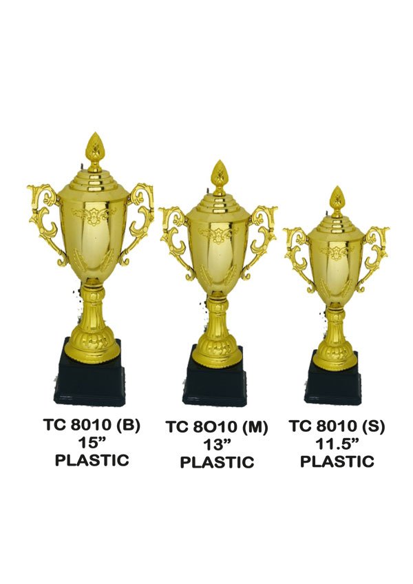 Award Manufacturer in Delhi