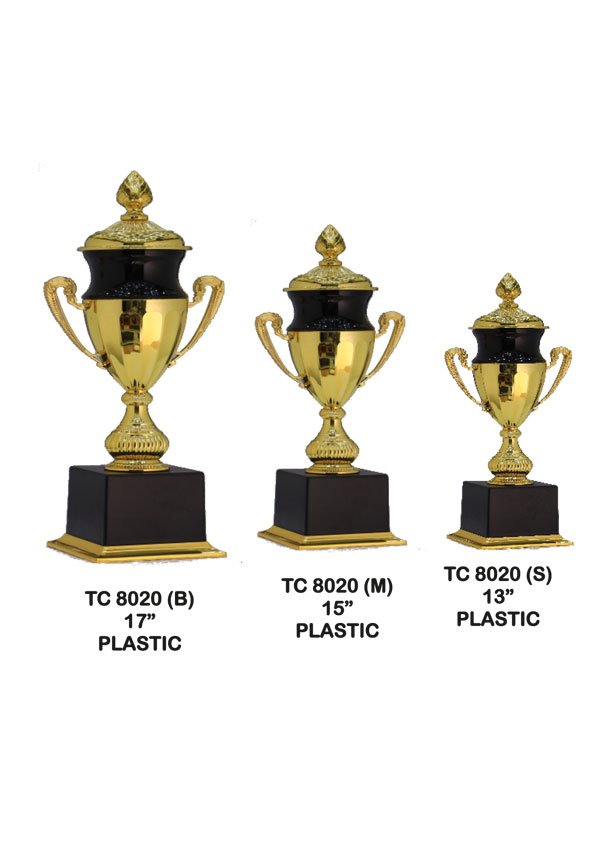 Award Manufacturer in Delhi