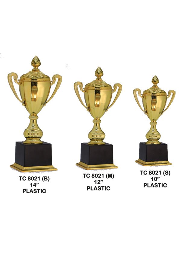 Award Manufacturer in Delhi