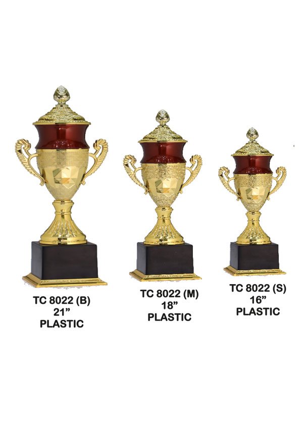 Award Manufacturer in Delhi