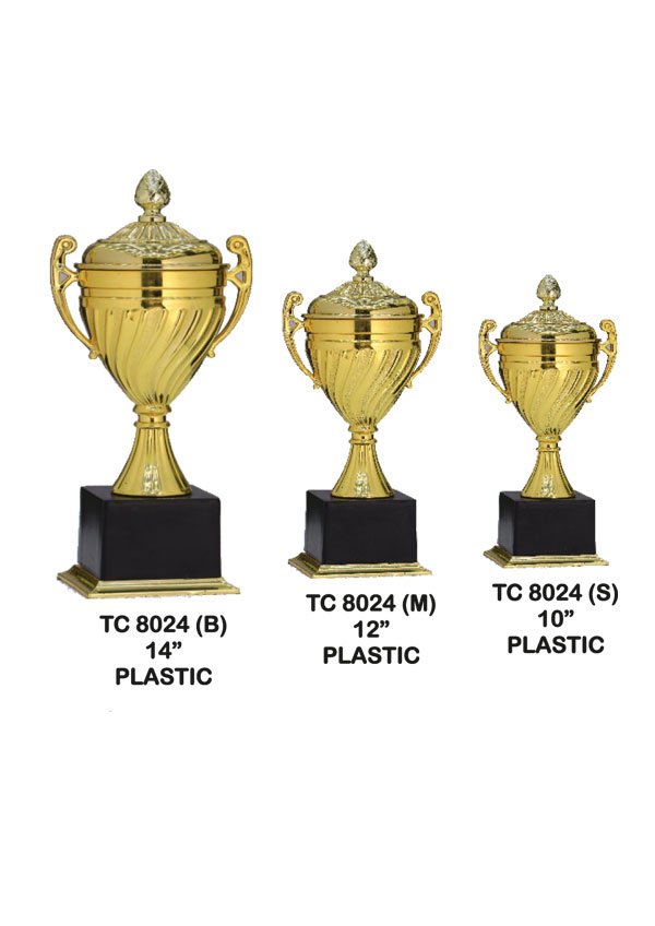 Award Manufacturer in Delhi