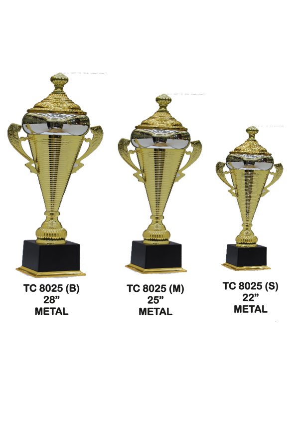 Award Manufacturer in Delhi