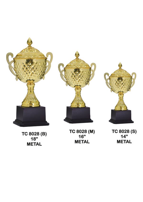 Award Manufacturer in Delhi