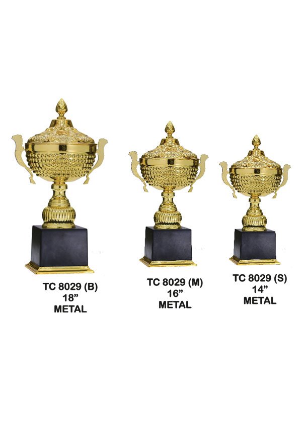 Award Manufacturer in Delhi